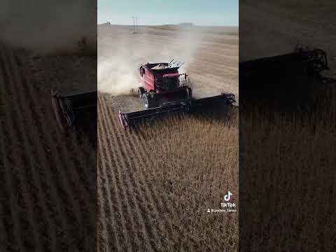 #farmlifebestlife #farm #fypシ゚viral #farming #fypage #fyp #caseih #johndeere