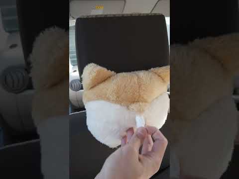 Corgi Butt Car Tissue Holder #Shorts