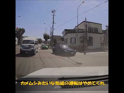 カメムシみたいな知能の運転はやめてくれ。 #automobile #事故 #ドラレコ