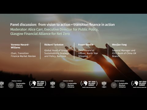 NZDS24 Panel discussion: From vision to action – transition finance in action