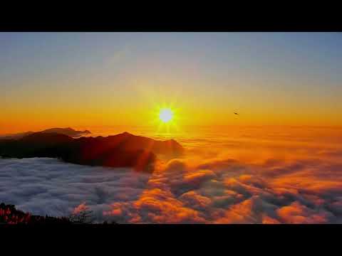 阿里山即時影像-二延平步道-夕陽縮時 2024-01-03 | Sunset and Cloud-sea Timelapse Eryanping Trail, Alishan, Taiwan