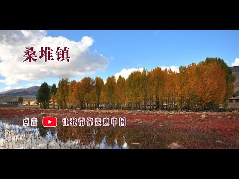 VR在路上 ‖ 中国四川 ‖ 桑堆镇：红草滩是稻城最美的风景