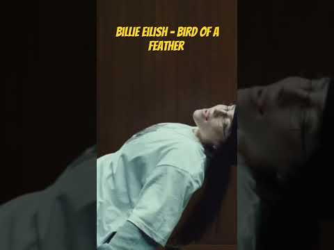 Best part of Billie eilish - bird of a feather  #billieeilish #billie #birdofafeather