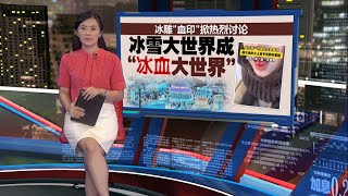 哈尔滨冰雪大世界“白中一点红”   “神秘红印”竟是游客的血!  | 新闻报报看 26/12/2024