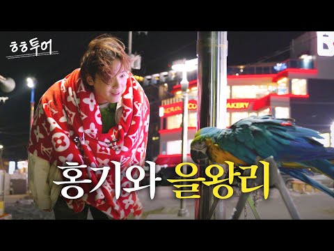 Can't leave Ulwangli without having roasted clams | HH Tour EP.03 Ulwangli