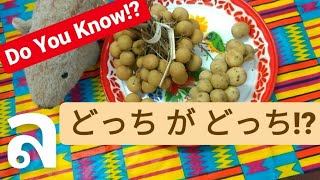 雨季が旬の「ロンガン」と「ロンコン」Longan & Longkong　タイフルーツ