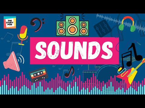 SOUNDS | SCIENCE | The Study Pod