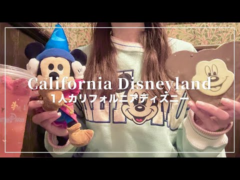 1人カリフォルニアディズニーランド🐭🇺🇸雨の日ディズニー☔️【Disney Vlog】