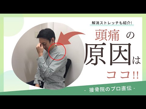 【頭痛〜肩こり〜】何もしていないのに頭が痛い、肩こりがツライ方へのストレッチ！｜接骨院のプロが教えるお家セルフケア｜テラピスト接骨院