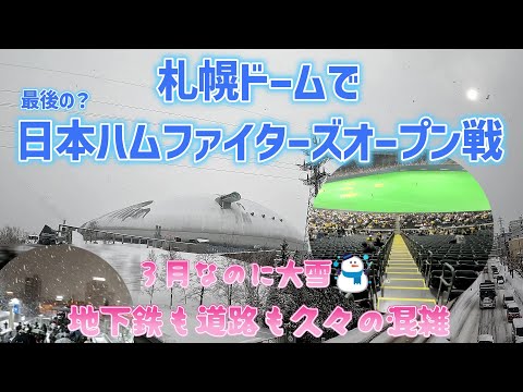 札幌ドームで日ハム戦 最後のゲーム？　久々の混雑（賑わい）に懐かしさ