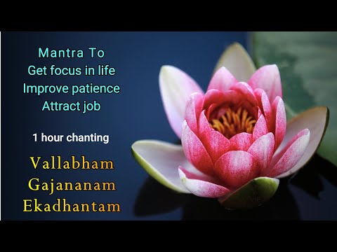 Mantra to get focus in life | Improves patience | Attract job | Relieves back pain | (1 hour chant)