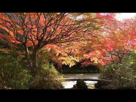 不退寺から水上池