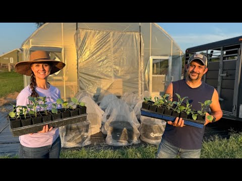 Our Junk Pile Garden Comes Back to Life!!!