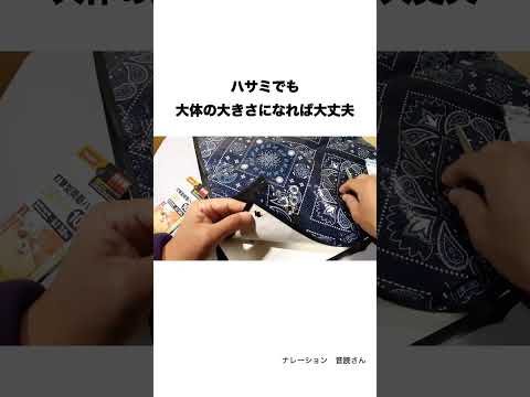 【100均】キャンプ用に「両面ハトメ」をシートに取り付け。はじめでも簡単。（ダイソーDAISO編） #shorts