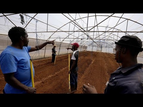 South African project helps deaf people build farming skills and find jobs