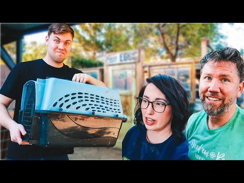 Ethan brought NEW animals home --- but we didn't expect this!