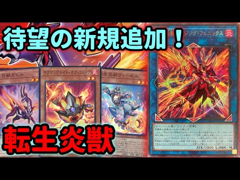 【#遊戯王】待望の新規追加！初動と手数が増えて選択肢が更に広がった『転生炎獣』を紹介します！