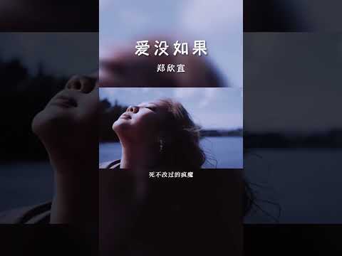 #经典粤语歌曲 #爱没如果