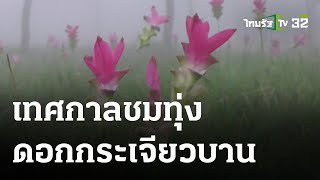 เริ่มแล้วเทศกาลชมทุ่งดอกกระเจียวบาน | 04 ก.ค. 66 | ตะลอนข่าว