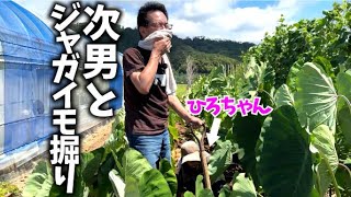 【今年は豊作！】家族で収穫は楽しい【ジャガイモ】【出島】【男爵】【メークイン】【キタアカリ】【グランドペチカ】