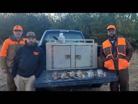 Virginia Rabbit Hunting 2024!! 8 up 6 Down!! KillShot!!!