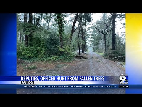 Deputies, Officer hurt from fallen trees during wind storm