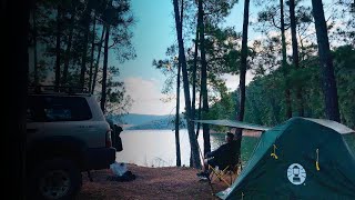 Solo camping on a Lake - Sounds of camping - ASMR - cozy camp - pine forest - tent