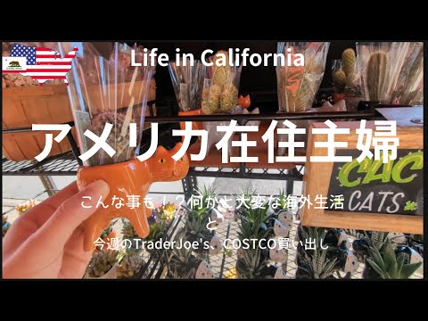 【アメリカ在住主婦】こんな事も! ?何かと大変な海外生活｜今週のTrader Joe's COSTCO買い出し｜