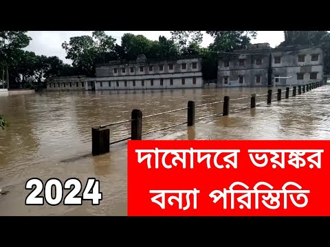 Damodar River 2024 | Dvc flood new today |  দামোদরে ভয়ঙ্কর বন্যা পরিস্তিতি 2024 | Durgapur Barrage