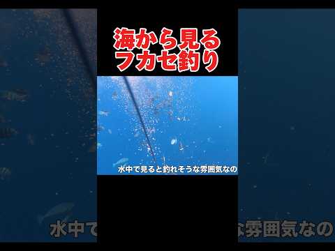 海から見るフカセ釣り考察#釣り#沖縄#万座毛