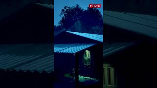 Day (6)  Sleep With Rain Sound #heavy #rain #rainsounds #asmr  #sleepmusic #healingrain #relax