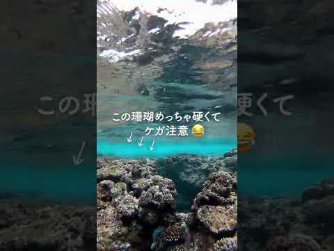 鏡みたいな水面が見れる！慶良間諸島の海#シュノーケリング  #沖縄 #海 #shorts