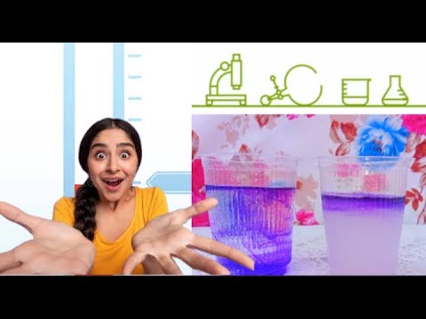 Amazing Science experiment with salt water & Dye | Easy science experiment | #shorts #viral #short