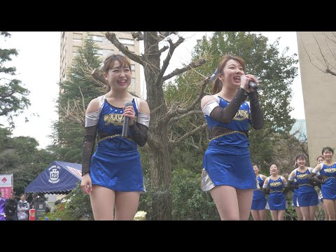 新歓2019 早稲田大学チアダンスサークルMYNX MYNX紹介MC