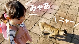 公園の子猫と会話する1歳娘 ／ Baby girl talking to a cat in the park.