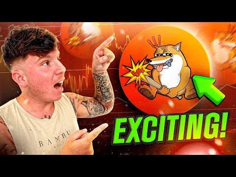 BULLISH PROJECT! 🔥 Baby Bonk 🔥CRYPTO COMEBACK!