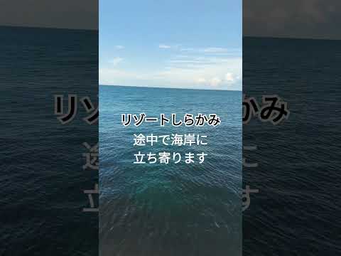 途中で浜辺に立ち寄るリゾートしらかみ！　#shorts  #リゾートしらかみ