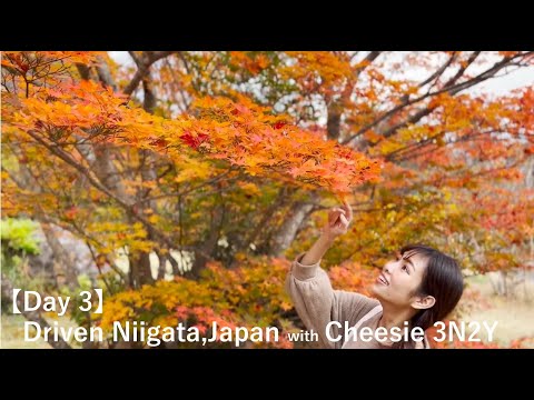 【Day 3】Drivin' Niigata with Cheesie