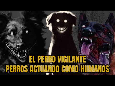 4 nuevas historias de perros que se Comportan como Humanos: Historias de Miedo que no Creerás 🐾