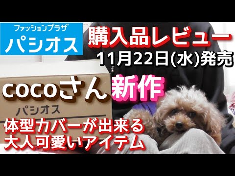 【パシオス×COCOコラボ】【パシオス購入品】COCOさん　新作購入品レビュー「体型カバーが出来る大人可愛いアイテム！！」１１月２２日（水）発売