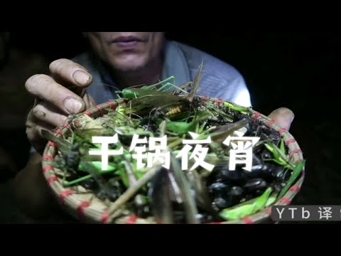 吃夜宵就是食材无差别，螳螂、蚂蚱、飞蛾、甲虫等等，天然无公害绿色，才有益健康！