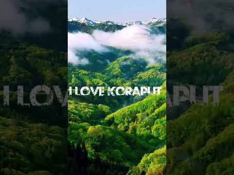 I LOVE KORAPUT #koraputia #koraput #subscribe #video #vlog #shortsvideo #shortfilm #nature #sunset