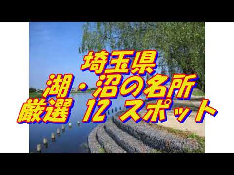 【埼玉県】湖・沼の名所＜12選＞