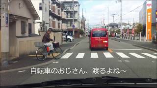 ドラレコ 歩行者安全運転義務違反？多分、違反