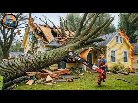 Dangerous Fastest Idiots Cutting Tree Fails Skill With Chainsaw | Chainsaw Cutting Tree Machines #1