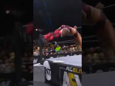 The Forgotten AEW Womens Incident