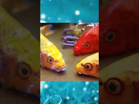 #shorts #cuckoo #funny #cuckootv #stopmotion #fish #foryou #2024 #funnyvideo #2023shorts #2023