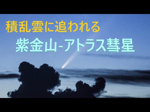 夜明けの紫金山-アトラス彗星　Tsuchinshan-ATLAS at dawn