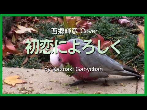 1966  西郷輝彦 “初恋によろしく” カバー « Hello to My First Love » Teruhiko Saigo, Covered by Kazuaki Gabychan