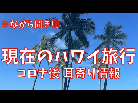 【2021年10月現在】ハワイ旅行の注意点や今後の見通し、コロナ後の耳寄り情報を解説します